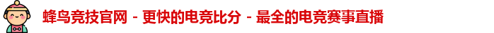 蜂鸟网